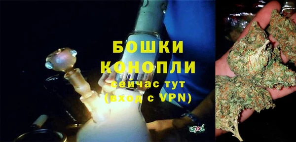гашик Дмитров