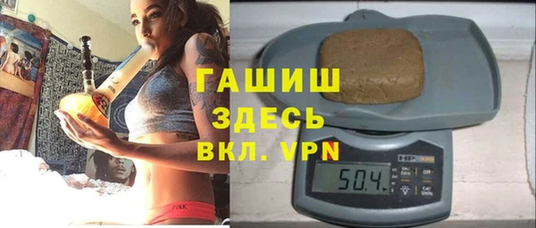 гашик Дмитров
