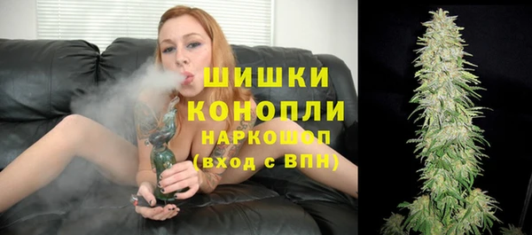 спайс Дмитриев