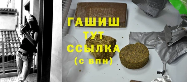 гашик Дмитров