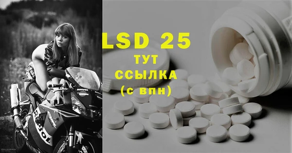 гашик Дмитров