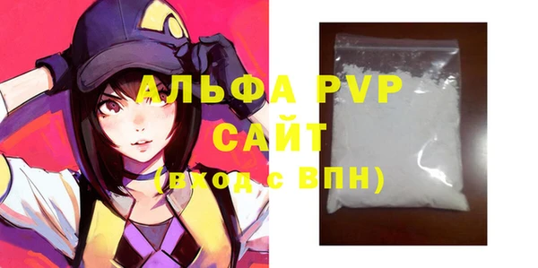 гашик Дмитров