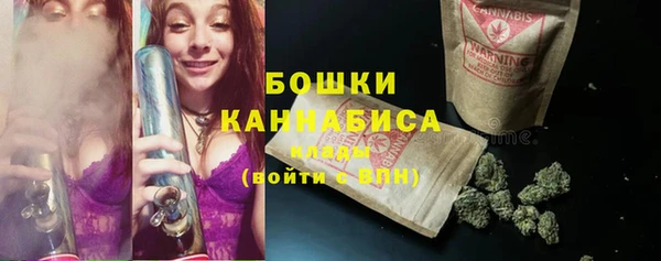гашик Дмитров