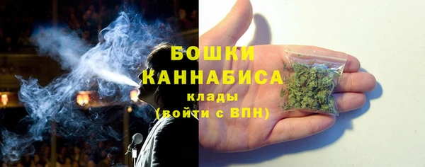 гашик Дмитров