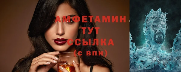 гашик Дмитров
