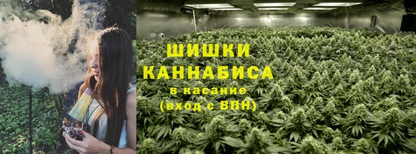 спайс Дмитриев