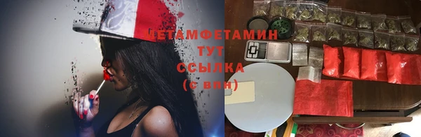 гашик Дмитров