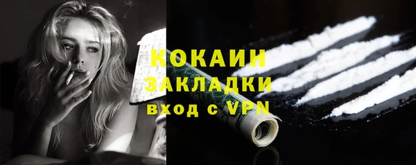 гашик Дмитров