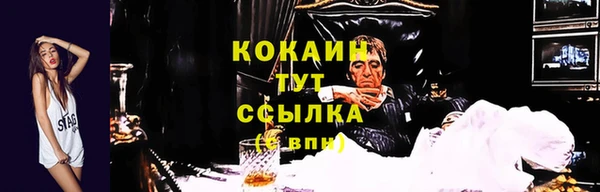 спайс Дмитриев