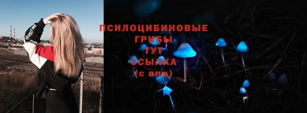 гашик Дмитров