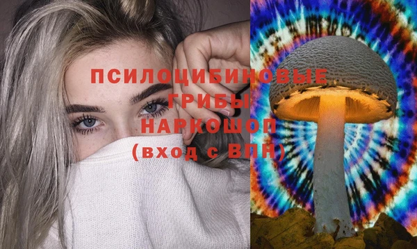 Альфа ПВП Дмитровск