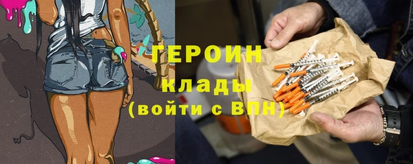 гашик Дмитров