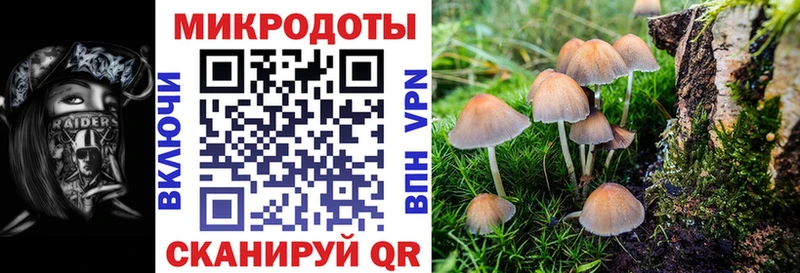 Псилоцибиновые грибы мицелий  mega ONION  Иланский 