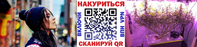 Каннабис планчик Иланский